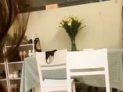 绿茶婊黛欣燃和闺蜜在家疯狂嗨