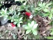 野战混战精彩对白