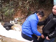 胖哥和野鸡在公园小山上苟合