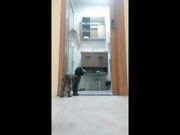 足模小妲己 居家小夫妻穿上白衬衣肉色丝袜