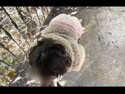 《立冬》性爱 森林深入跪舔 翘蜜桃美臀无套后入极速抽插