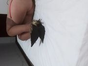 看这个风骚熟女的大屁股貌似屁眼也被开发过