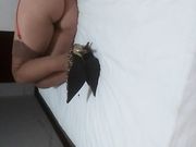 看这个风骚熟女的大屁股貌似屁眼也被开发过