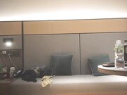 重金网约两个高端外围女神妹子玩双飞01