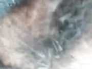 疯狂大奶直播露奶抠逼自慰 骚逼里全是淫水