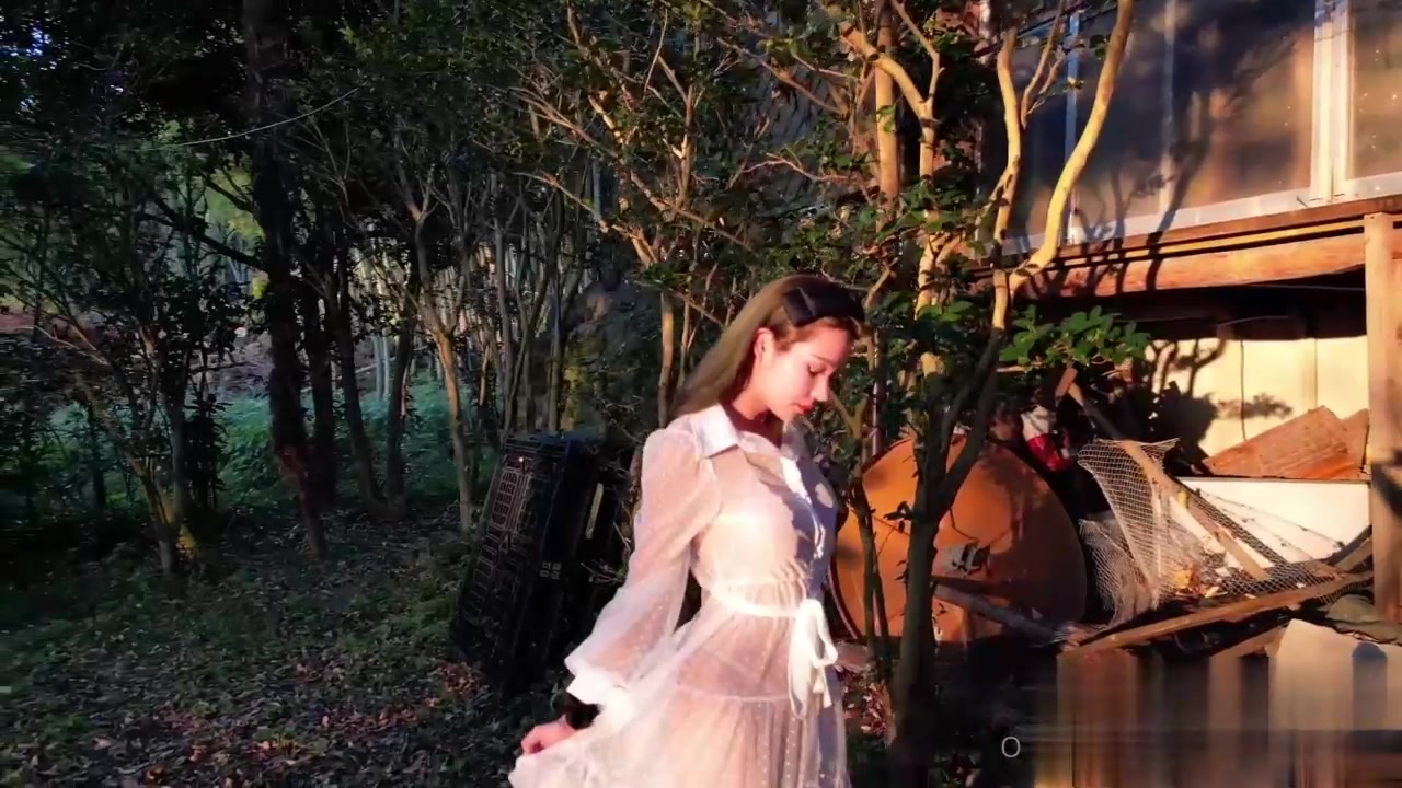 森林树屋的激情