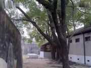 太太为了拯救冤狱的老公，用尽一切方法贿络典狱长