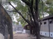 “你一定要帮帮我老公”太太为了拯救冤狱的老公，用尽一切方法贿络典狱