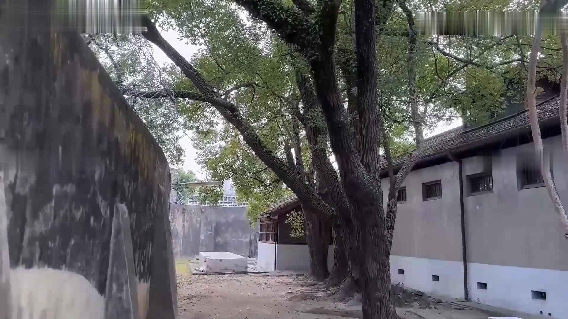 “你一定要帮帮我老公”太太为了拯救冤狱的老公，用尽一切方法贿络典狱