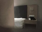 白嫖良家妹子密码房 总是能约到妹纸 甜美短裙小姐姐 玩玩游戏喝酒