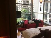 长沙某高档小区公寓离异富姐和两个彪悍的黑人3P大战这逼以后谁敢要