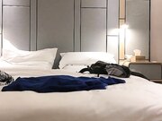 舌吻调情口交上位骑坐抽插后入快速猛操呻吟娇喘