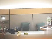 外围小姐姐第一次见这么大的鸡巴给她塞满了干的她一直叫