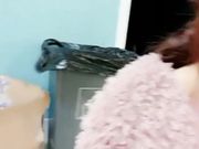 饑渴女主播勾引保安值班室啪啪