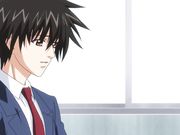 [ピンクパイナップル]働くオトナの恋愛事情