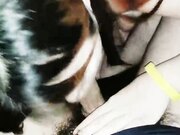 开车带妹子到野外车震优雅女神被操成淫荡母狗