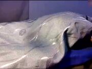 极品巨乳G奶宝马少妇情人节老公不理人直接来做个SPA找按摩大哥