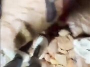 姐姐和闺蜜去户外郊游我和姐姐第一次户外野战姐姐竟然刮逼毛是一线天白虎逼
