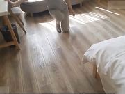 带贴身秘书出差谈完公事之后开房啪啪