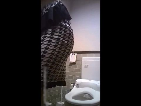 公共衛生間偷拍到的各式美女