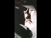 新晋色影大师绳狮会捆绑的王竹子超唯美鬼才人体情色艺术高清