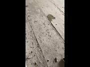 非常屌的90后白虎村姑和鲜肉级男主播户外野战太多蚊子了只好去人家的毛坯房里脱光了继续干