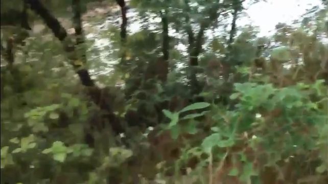 对白淫荡的母子野外黑丝乱伦无套内射高清无水印版