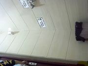 坐盗市最新流出国内商场员工专用女厕偷拍都是年轻妹子