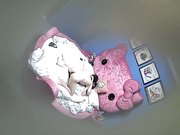 小旅店哈喽猫大圆床年轻小伙一开始用手就搞得妹子好爽