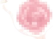 [桜都字幕组][720P][ピンクパイナップル]ヌーディストビーチに修学旅行で！