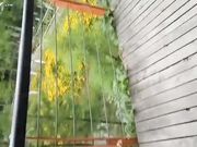 带着师妹景区玩露逼自插到喷水