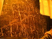 岛国盗拍网站最新流出夜总会女厕偷拍小姐们站着嘘嘘的大美腚