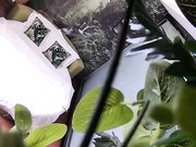 清新自然房不太持久的小伙提前开好房等待苗条年轻长发妹子来打炮听对白貌似是援交妹操完穿衣服就走