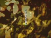 知性熟女范的红色妖姬温柔又严厉的酒店调教小奴，看着让人欲罢不能