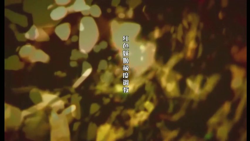 知性熟女范的红色妖姬温柔又严厉的酒店调教小奴，看着让人欲罢不能