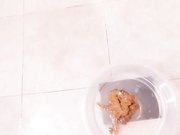 超卡哇伊网红美少女三寸萝莉会员版之肛交女仆 女仆装+香蕉君肛交+双插双穴+灌肠+失禁 高清1080P原版无水印