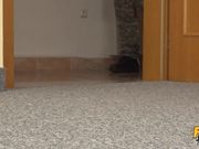 Going Commando 旅馆里两个突击队员激战一美妇