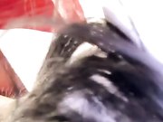 漂亮美女主播Si思思男女啪啪大秀 先口交后啪啪 很主动很淫荡