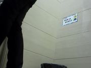 商场厕拍毛毛不多的气质短发轻熟女