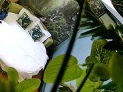 饥渴马尾小少妇与四眼男偷情床上各种大战激情四射