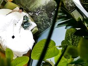 饥渴马尾小少妇与四眼男偷情床上各种大战激情四射