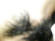 和美女会计在办公室打炮 工作服上阵好刺激2