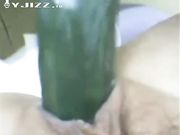 饥渴淫妇家中发浪 火腿黄瓜换着插