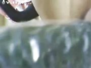 饥渴淫妇家中发浪 火腿黄瓜换着插