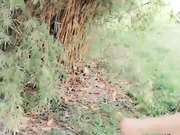 剧情演绎艺校生马上毕业了大街上被导演相中到公园试戏