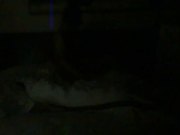 四哥小旅馆找小姐偷啪30岁左右的短发鸡