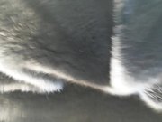 帅哥海边偶遇主持人采外景找个没人的地方刺激后入内射