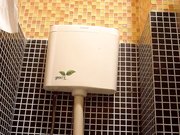 云上会所酒吧正面拍摄系列1各路高颜值美女聚集在一起