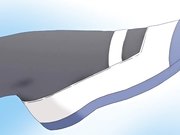 成人动漫吸舔大叔老二的淫蕩性愛