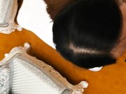 寂寞美少妇电视坏了找客服上门调戏按倒啪啪